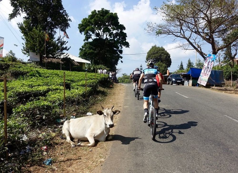 Cycle India on the India Custom Tour cycling tour